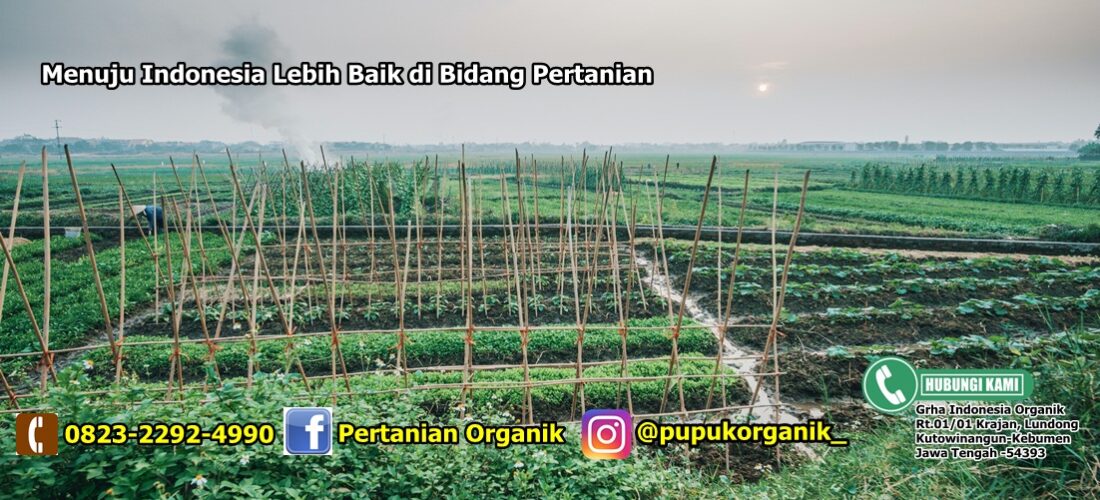 Menuju Indonesia Lebih Baik di Bidang Pertanian