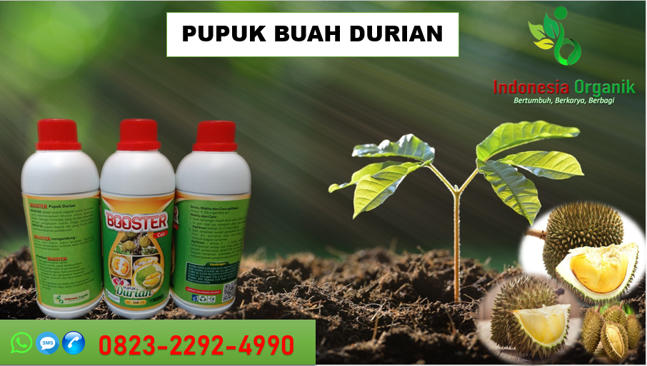 ✅SPECIAL_TLP. 0823*2292*4990. Agen pupuk organik kilat durian di Prabumulih, jual pupuk kulit durian Palembang, PRODUSEN pupuk kocor durian Pagar Alam