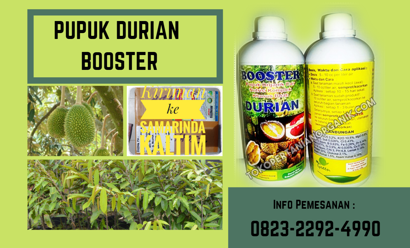 ✅MURAH_WA/TLP: 0823*2292*4990. ✅PRODUSEN pupuk digrow durian di denpasar, jual  pupuk penyubur daun durian kuta, TOKO pupuk perangsang buah durian diluar musim Bali