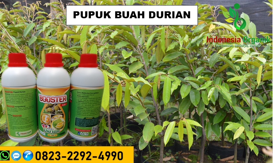 ☑️               PROMO..//HUB: O823*2292*499O. TEMPAT pupuk injeksi durian Kuningan, JUAL jenis pupuk durian Majalengka, GROSIR jual pupuk durian Pangandaran