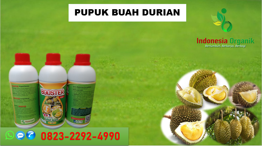 ✅FAST RESPONE..//0823-2292-4990. ✅SUPPLIER pupuk durian berbuah DI Tasikmalaya, TOKO pupuk durian booster Bandung, TEMPAT pupuk buah durian Banjar