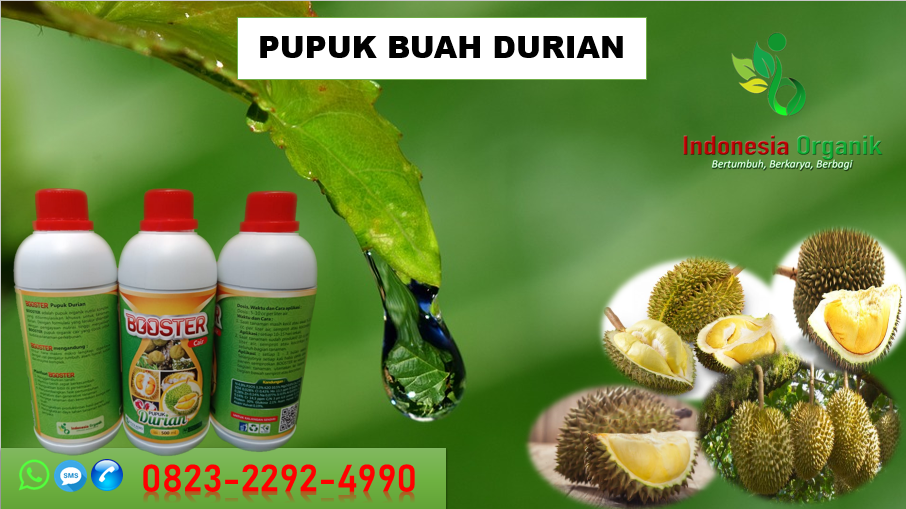 ✅DISKON..//HUB: 0823–2292–4990, JUAL pupuk cair durian di Bekasi, GROSIR pupuk untuk durian cepat berbuah Bogor, AGEN pupuk supaya durian cepat berbuah Cimahi 