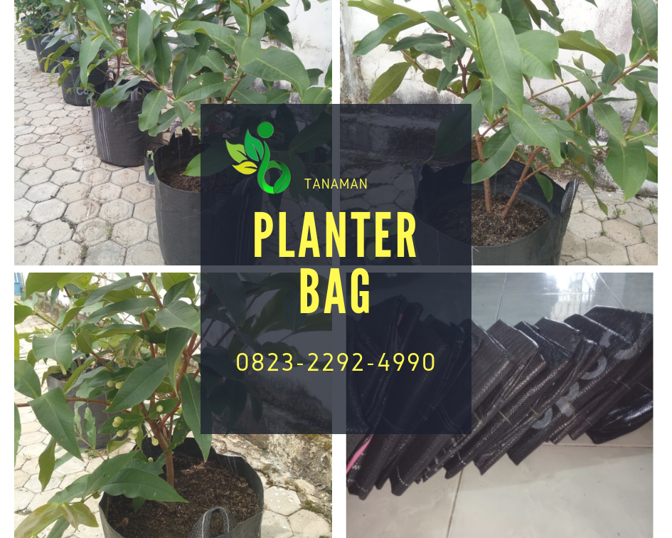 AMANAH_0823*2292*4990. Distributor planter bag surabaya,AGEN planter bag malang, HARGA planter bag jakarta