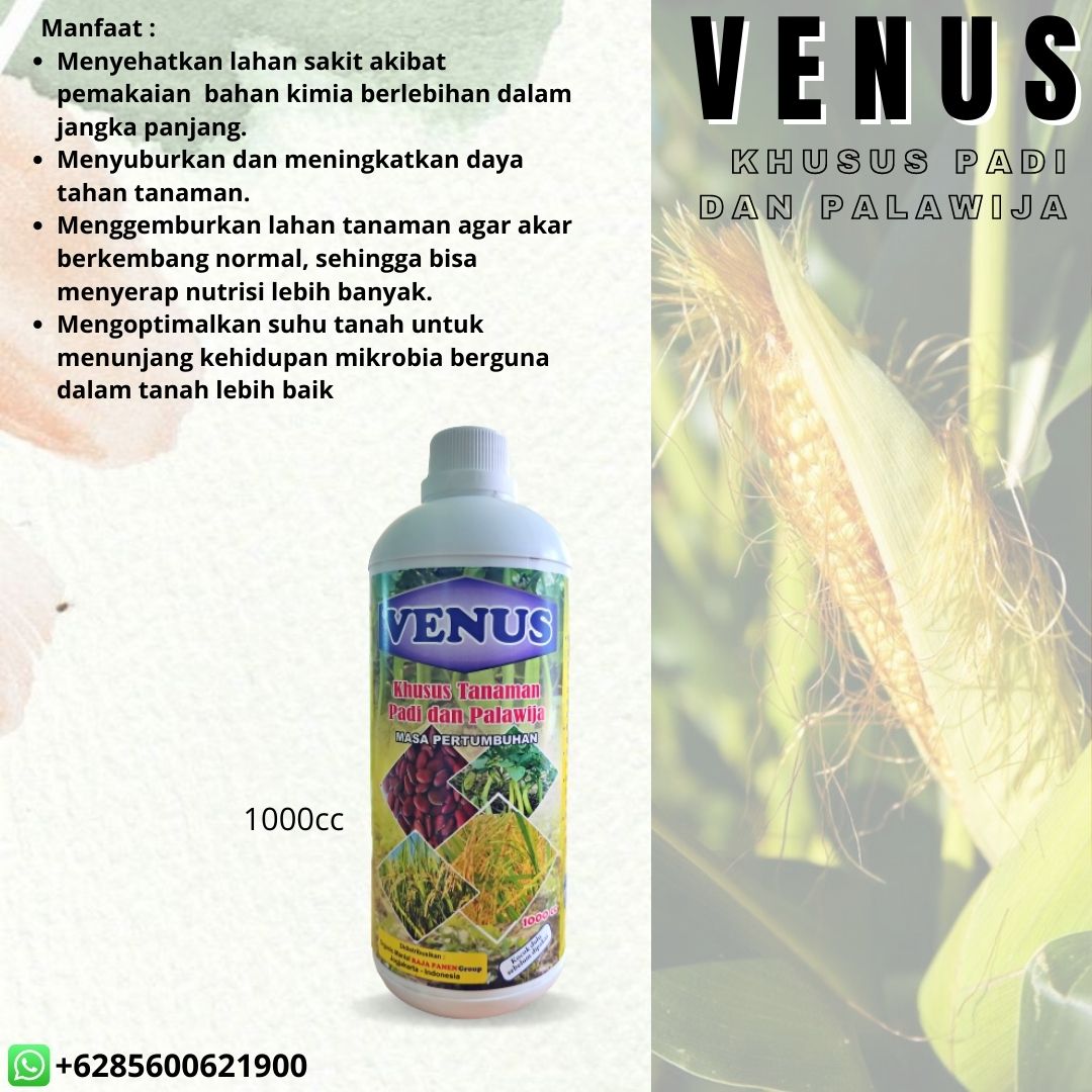 SOLUSI PERKEBUNAN!! 085-600-621-900. PABRIK pupuk mikoriza untuk sawit Jakarta Barat, JUAL pupuk mikoriza untuk cabe Kembangan, HARGA pupuk mikoriza untuk tanaman Jakarta Pusat