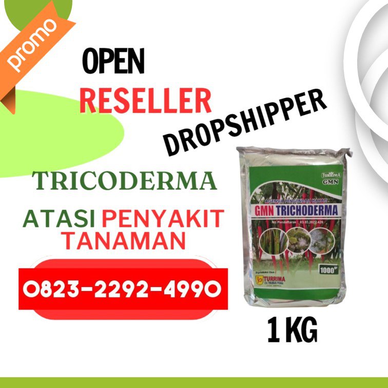 AMPUH!!! TELP! 0823-2292-4990, AGEN Trichoderma untuk layu fusarium Kebumen, DISTRIBUTOR Trichoderma untuk hidroponik Pati, AGEN Trichoderma untuk antraknosa Magelang