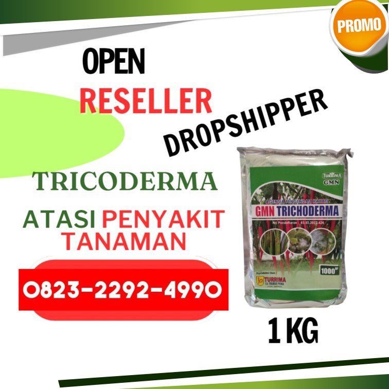 SEDANG DISKON!!! TELP! 0823-2292-4990, DISTRIBUTOR Trichoderma untuk hidroponik Pati, AGEN Trichoderma untuk antraknosa Magelang, TOKO Trichoderma bonsai Brebes