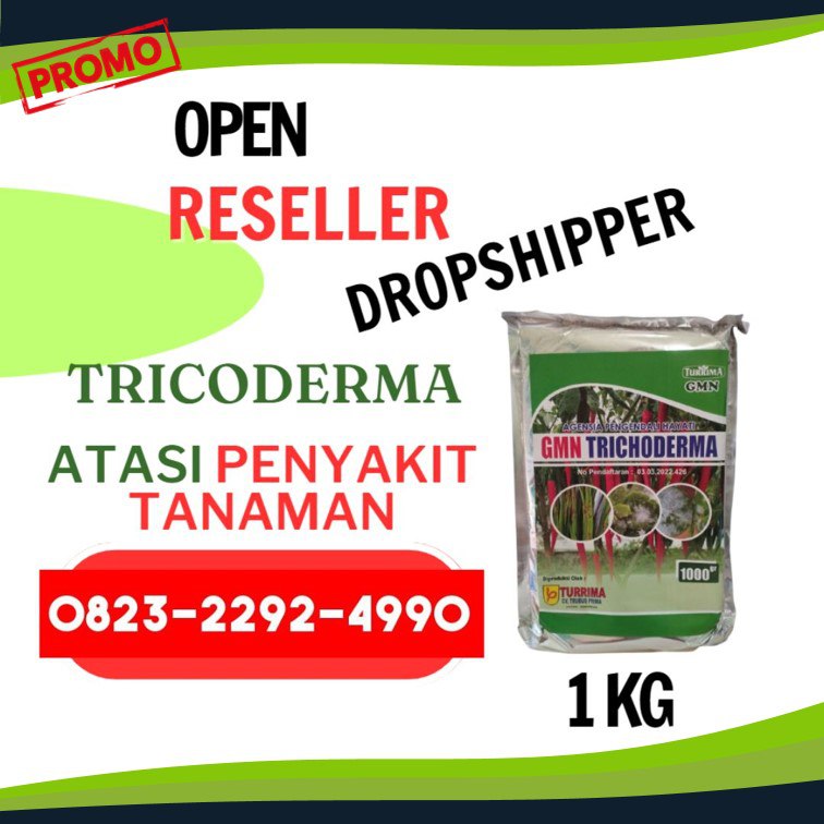 ORGANIK!!! TELP! 0823-2292-4990, PABRIK Trichoderma untuk tembakau Pemalang, JUAL Trichoderma untuk bawang merah Grobogan, AGEN Trichoderma untuk layu fusarium Kebumen