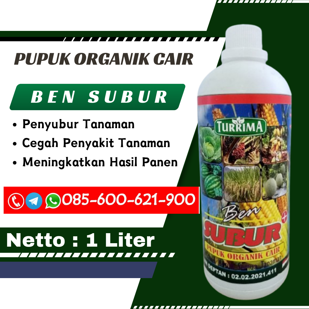 TERBARU.085-600-621-900, Agen pupuk organik cair untuk durian Aceh Singkil, Distributor pupuk organik cair untuk anggrek Lhoksukon, Grosir pupuk organik cair untuk buah Bireuen