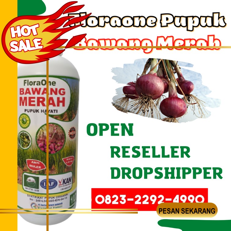 ONLINE!!! TELP 0823-2292-4990, Produsen pupuk untuk tanaman bawang Aceh Barat Daya, Supplier pupuk buat tanaman bawang daun Blangpidie, Pabrik pupuk pada tanaman bawang daun Aceh Besar