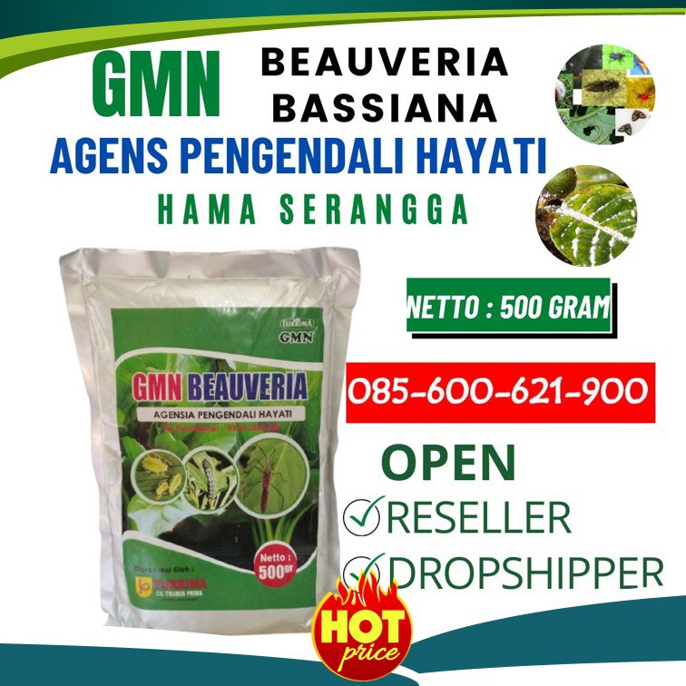 SUBUR!!!085-600-621-900, Agen obat hama untuk terong Kota Denpasar, Agen obat hama untuk tanaman padi Badung, Produsen obat hama untuk padi Mangupura