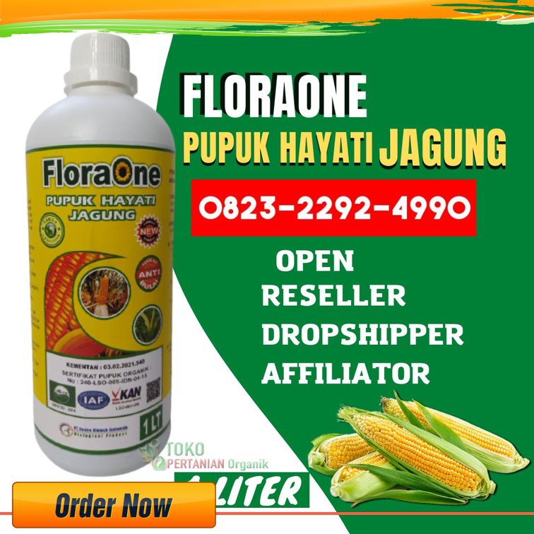 AMPUH!!! TELP! 0823-2292-4990, AGEN pupuk jagung Sintang, DISTRIBUTOR pupuk jagung manis Landak, PRODUSEN pupuk jagung yang bagus Pontianak