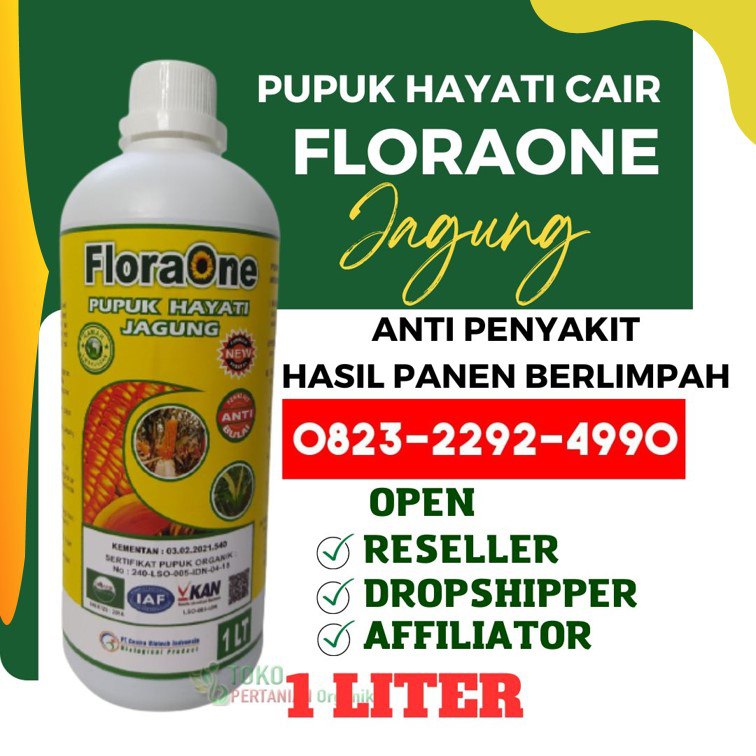 PROMO AMBYAR!!! TELP! 0823-2292-4990, DISTRIBUTOR pupuk jagung yang bagus Wonogiri, PRODUSEN pupuk jagung agar berbuah besar Kendal, TOKO pupuk jagung hibrida Rembang