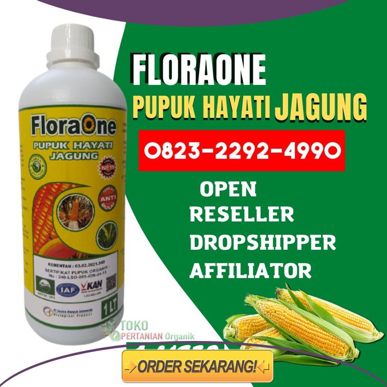 ORGANIK!!! TELP! 0823-2292-4990, PABRIK pupuk jagung mutiara Ketapang, JUAL pupuk jagung gigi kuda Sanggau, AGEN pupuk jagung Sintang