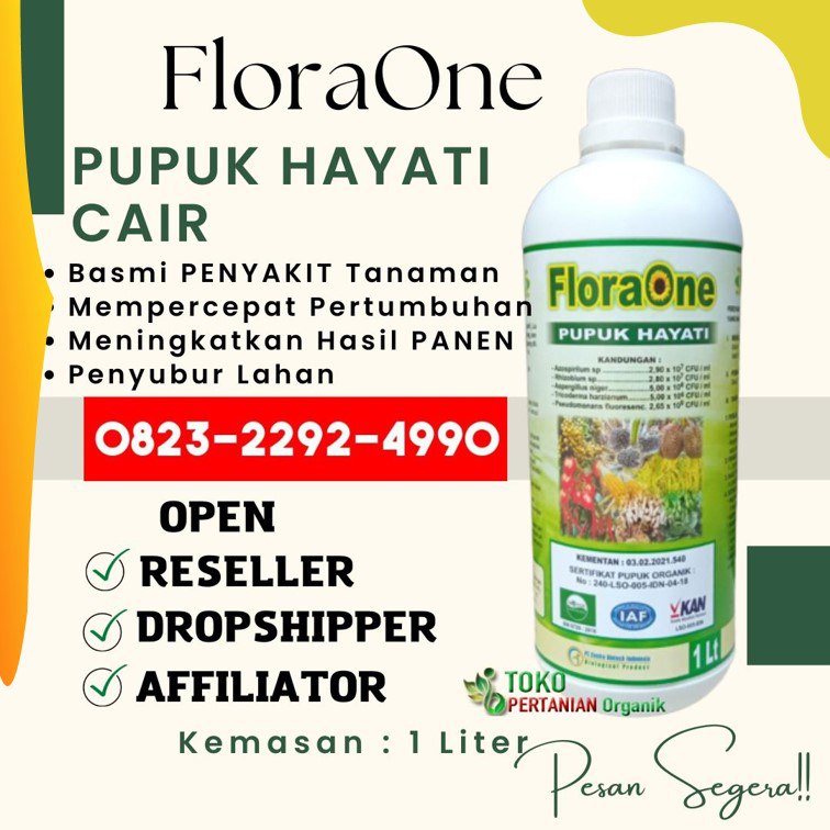 ASLI!!! TELP! 0823-2292-4990, SUPPLIER Pupuk Padi Ciherang Agam, PENYEDIA Pupuk Padi Mekongga Pesisir Selatan, PABRIK Pupuk Padi IR 64 Padang Pariaman