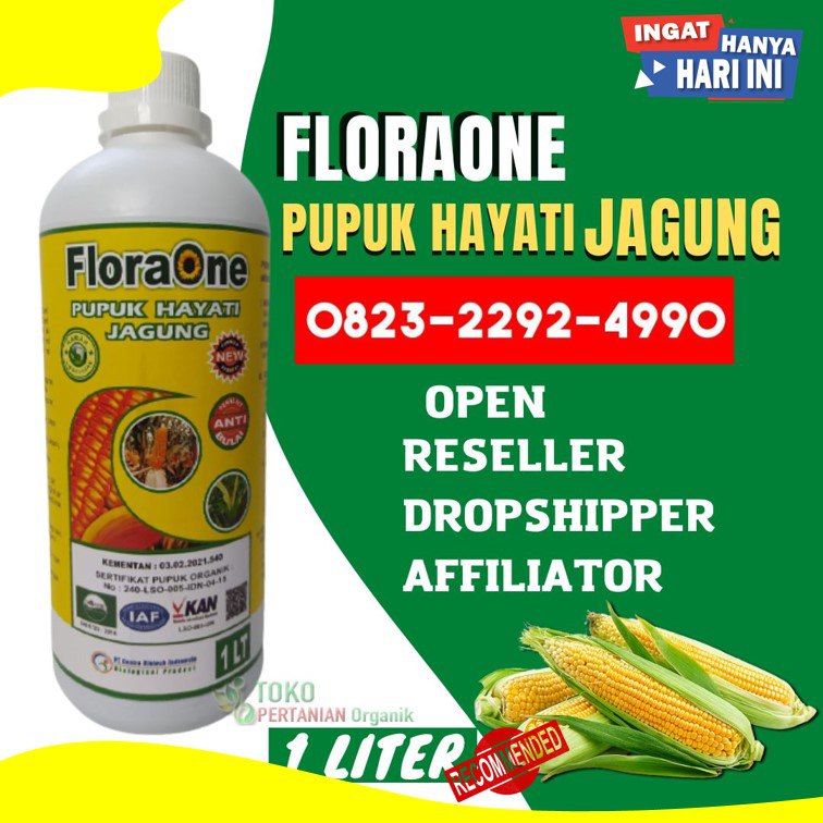 PROMO AMBYAR!!! TELP! 0823-2292-4990, SUPPLIER pupuk jagung hibrida Singkawang, PENYEDIA pupuk jagung cair Kota Pontianak, PABRIK pupuk jagung umur 15 hari Sambas