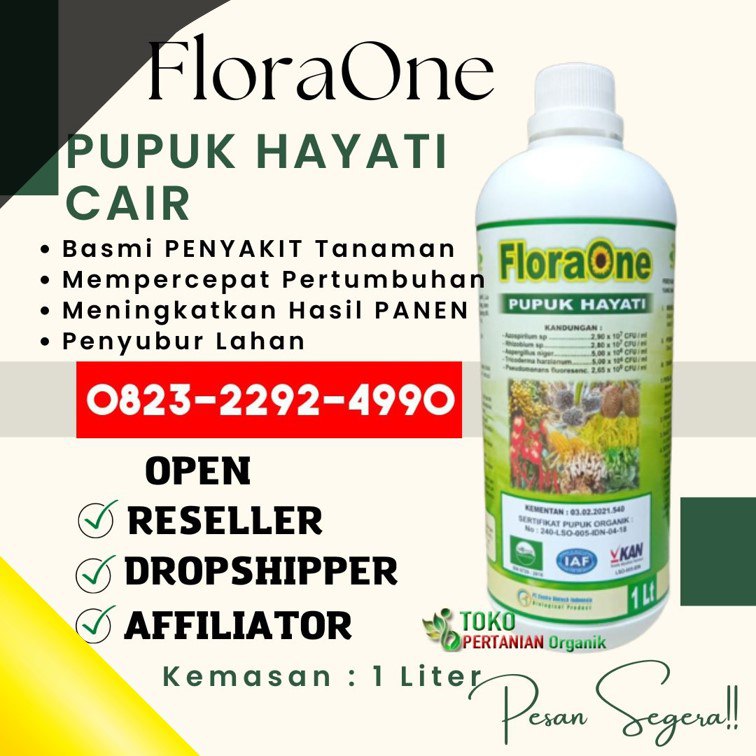 TERPERCAYA!!! TELP! 0823-2292-4990, TOKO Pupuk Padi Sunggal Kota Padang, SUPPLIER Pupuk Padi Ciherang Agam, PENYEDIA Pupuk Padi Mekongga Pesisir Selatan