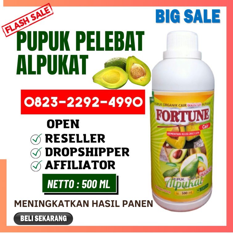 TERBAIK!!! TELP! 0823-2292-4990, AGEN pupuk alpukat agar tidak rontok Pematang Siantar, DISTRIBUTOR pupuk alpukat agar cepat berbuah Toba, PRODUSEN pupuk alpukat umur 1 tahun Deli Serdang