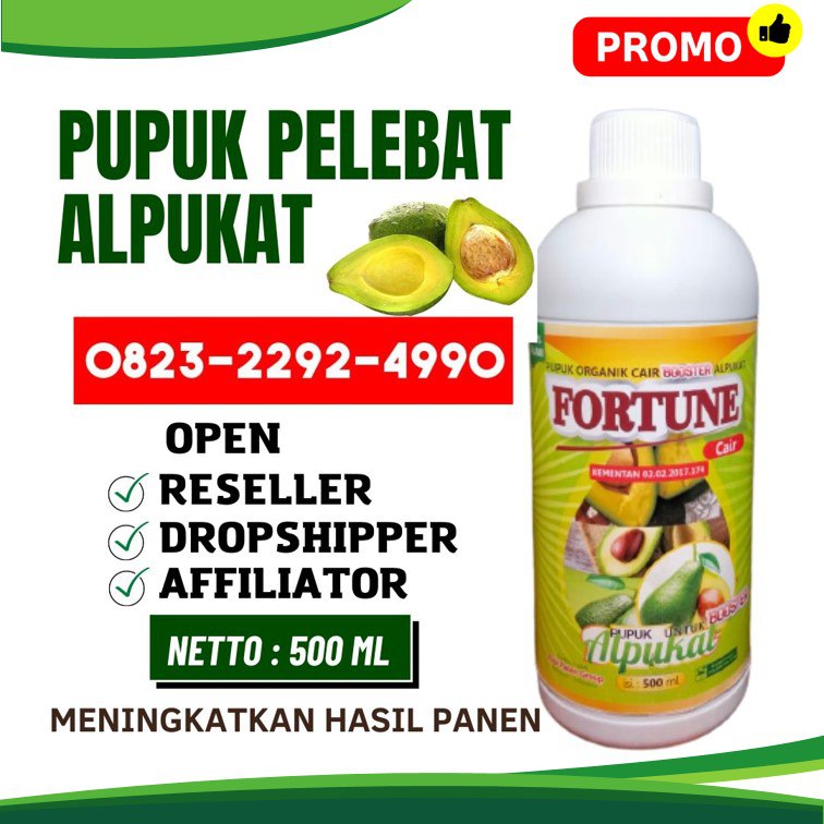 ASLI!!! TELP! 0823-2292-4990, AGEN pupuk alpukat umur 1 tahun Karo, DISTRIBUTOR pupuk alpukat agar cepat berbuah lebat Humbang Hasundutan, PRODUSEN pupuk alpukat terbaik Pakpak Bharat