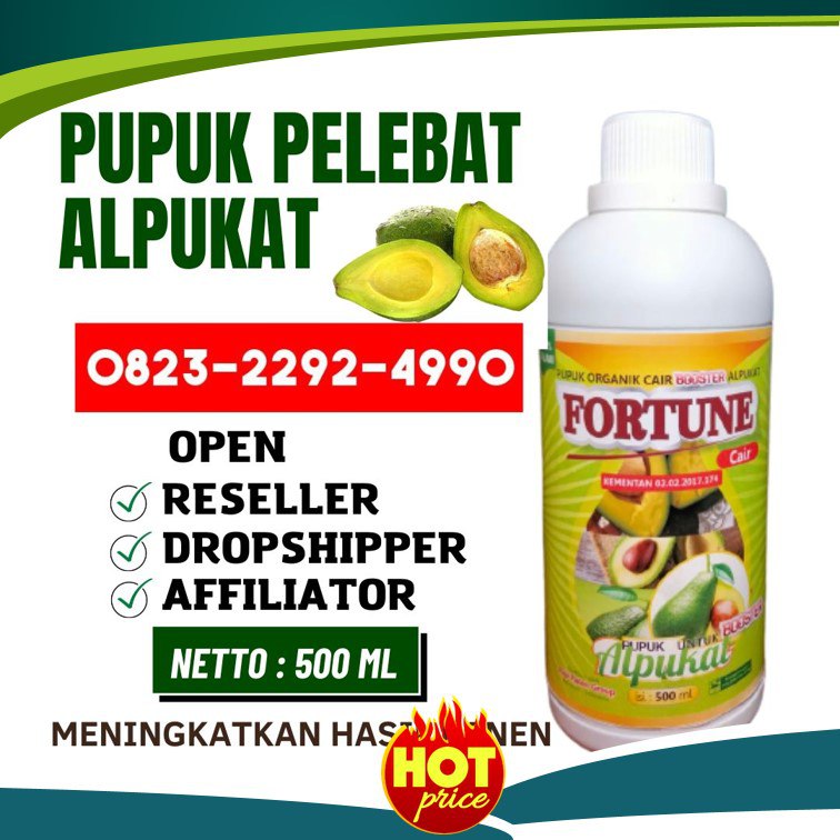 PROMO AMBYAR!!! TELP! 0823-2292-4990, DISTRIBUTOR pupuk alpukat agar cepat berbuah lebat Humbang Hasundutan, PRODUSEN pupuk alpukat terbaik Pakpak Bharat, TOKO pupuk alpukat saat berbunga Dairi