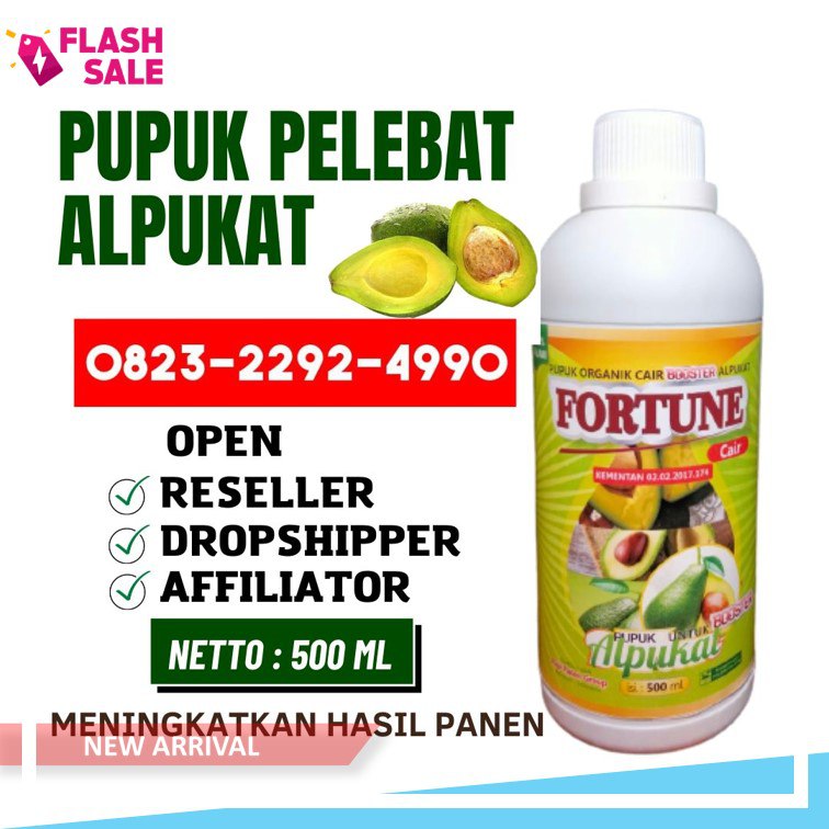 AMPUH!!! TELP! 0823-2292-4990, JUAL pupuk alpukat umur 6 bulan Simalungun, AGEN pupuk alpukat agar tidak rontok Pematang Siantar, DISTRIBUTOR pupuk alpukat agar cepat berbuah Toba