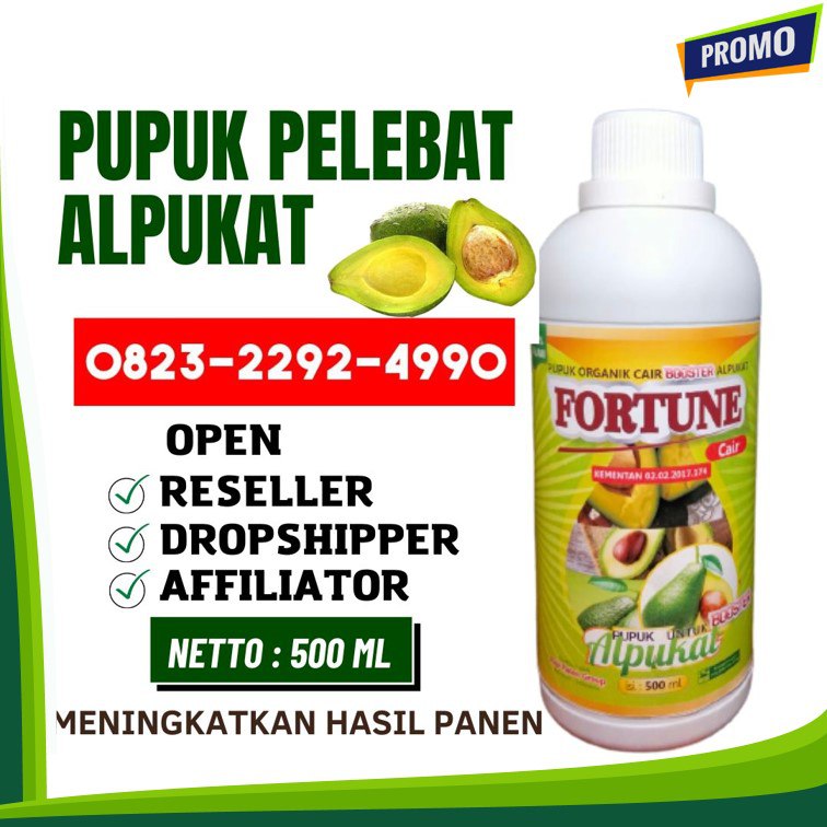 TERPERCAYA!!! TELP! 0823-2292-4990, JUAL pupuk alpukat agar cepat berbuah Deli Serdang, AGEN pupuk alpukat umur 1 tahun Karo, DISTRIBUTOR pupuk alpukat agar cepat berbuah lebat Humbang Hasundutan