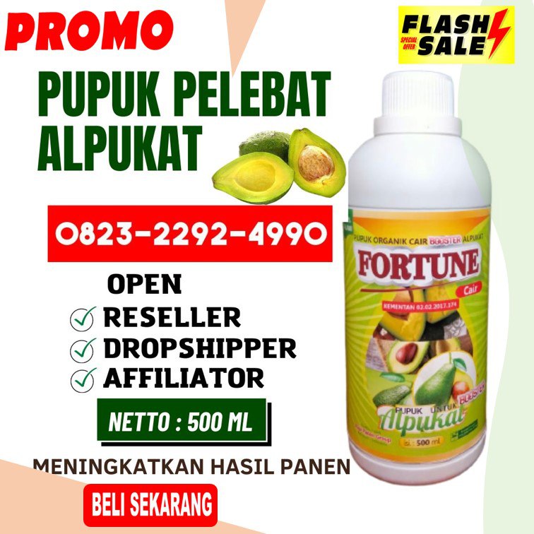 ORGANIK!!! TELP! 0823-2292-4990, PENYEDIA pupuk alpukat masa vegetatif Tapanuli Selatan, PABRIK pupuk alpukat miki Tapanuli Utara, JUAL pupuk alpukat umur 6 bulan Simalungun