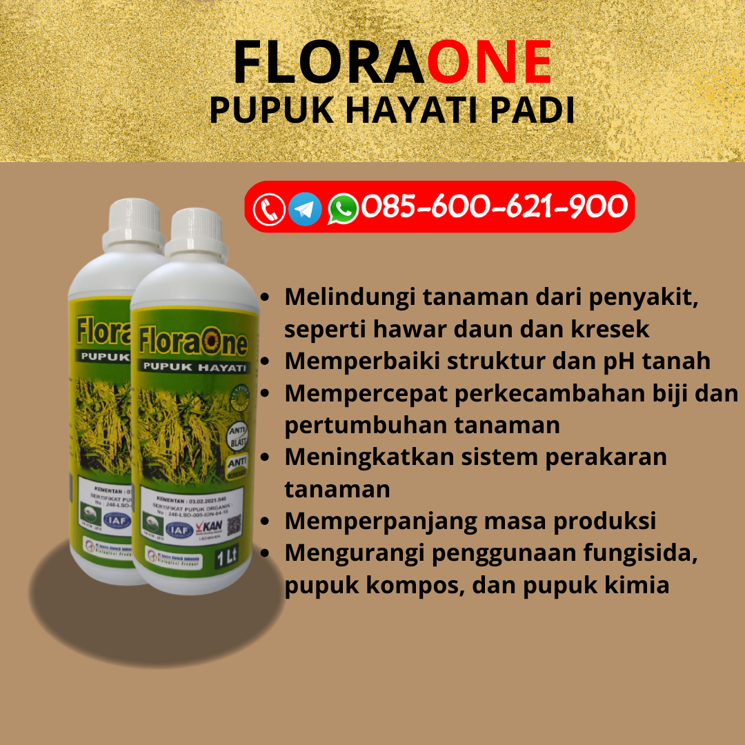 TERLARIS!!!085-600-621-906, GROSIR berapa kali pupuk padi Kudus, JUAL bahan pupuk padi Grobogan, HARGA pupuk untuk benih padi Blora