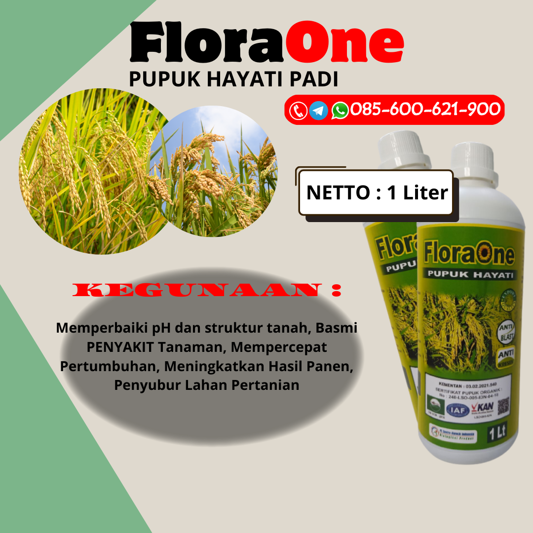 DISKON!!!085-600-621-900, AGEN pupuk padi baru tanam Brebes, PRODUSEN pupuk buah padi paling bagus Pati, PABRIK pupuk buah padi Sragen