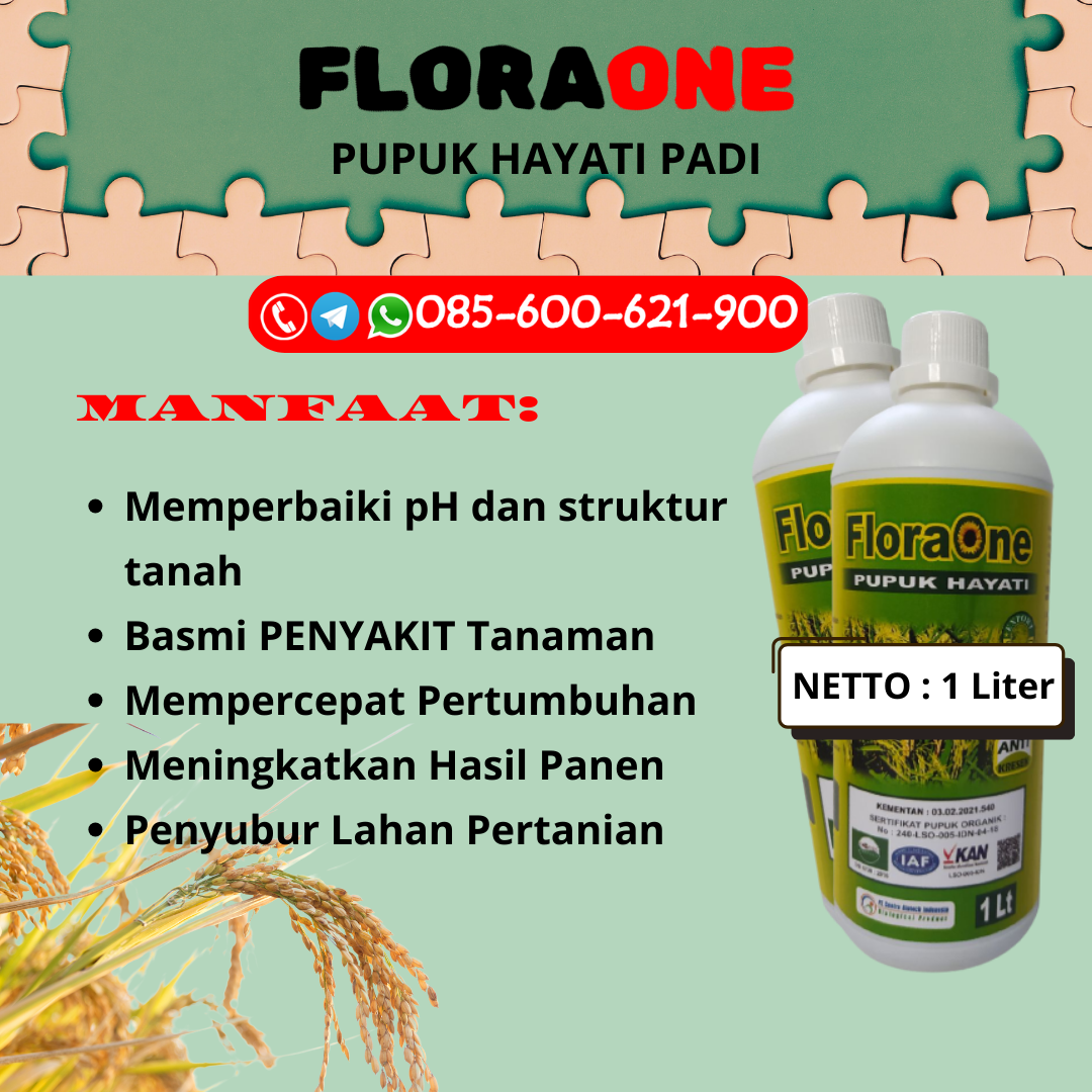 TERBATAS!!!085-600-621-900, DISTRIBUTOR pupuk padi awal tanam Karanganyar, TOKO pupuk padi agar berbuah lebat Sukoharjo, PUSAT pupuk padi alami Klaten