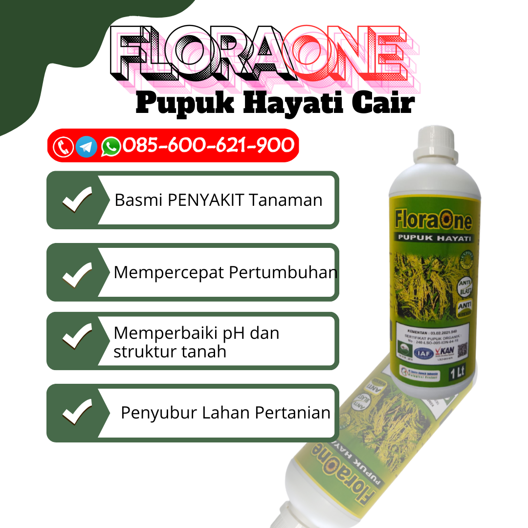 ALAMI!!!085-600-621-900, GROSIR pupuk padi anti rebah Kudus, JUAL pupuk padi agar hasil melimpah Grobogan, HARGA pupuk padi agar beranak banyak Blora