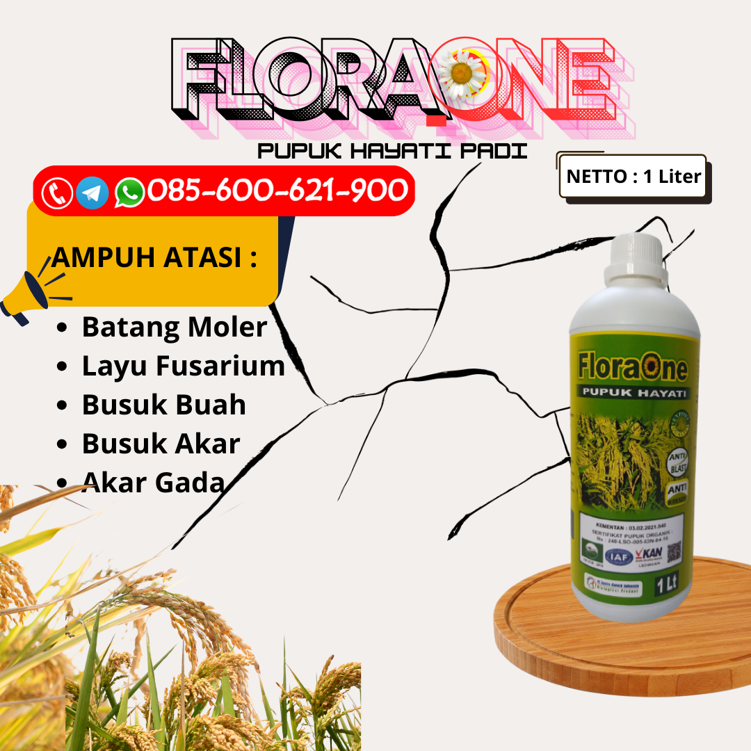 PROMO!!!085-600-621-900, HARGA harga pupuk padi Blora, AGEN cara pupuk padi Brebes, PRODUSEN dosis pupuk padi musim hujan Pati