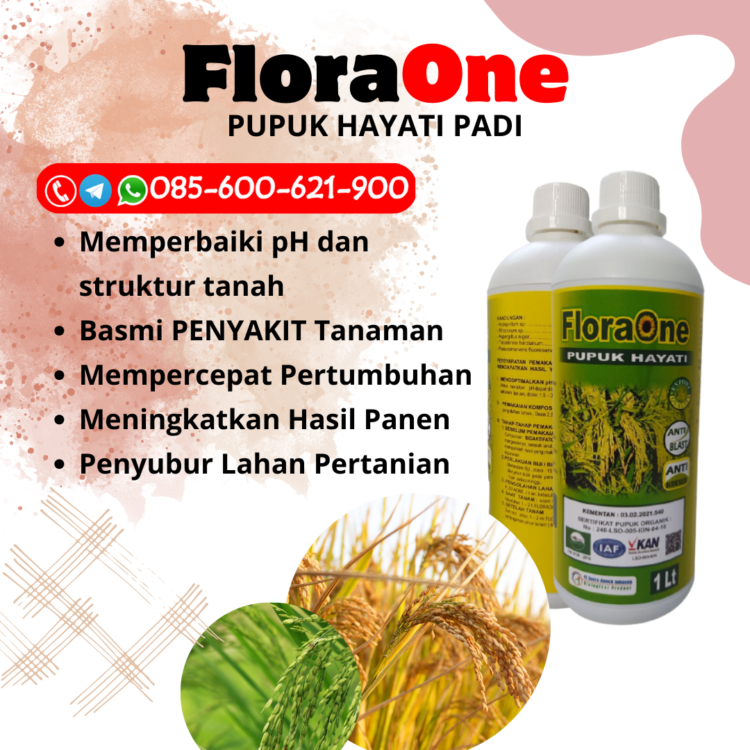 DISKON!!!085-600-621-900, HARGA pupuk padi agar beranak banyak Blora, AGEN pupuk anakan padi Brebes, PRODUSEN apa nama pupuk padi Pati