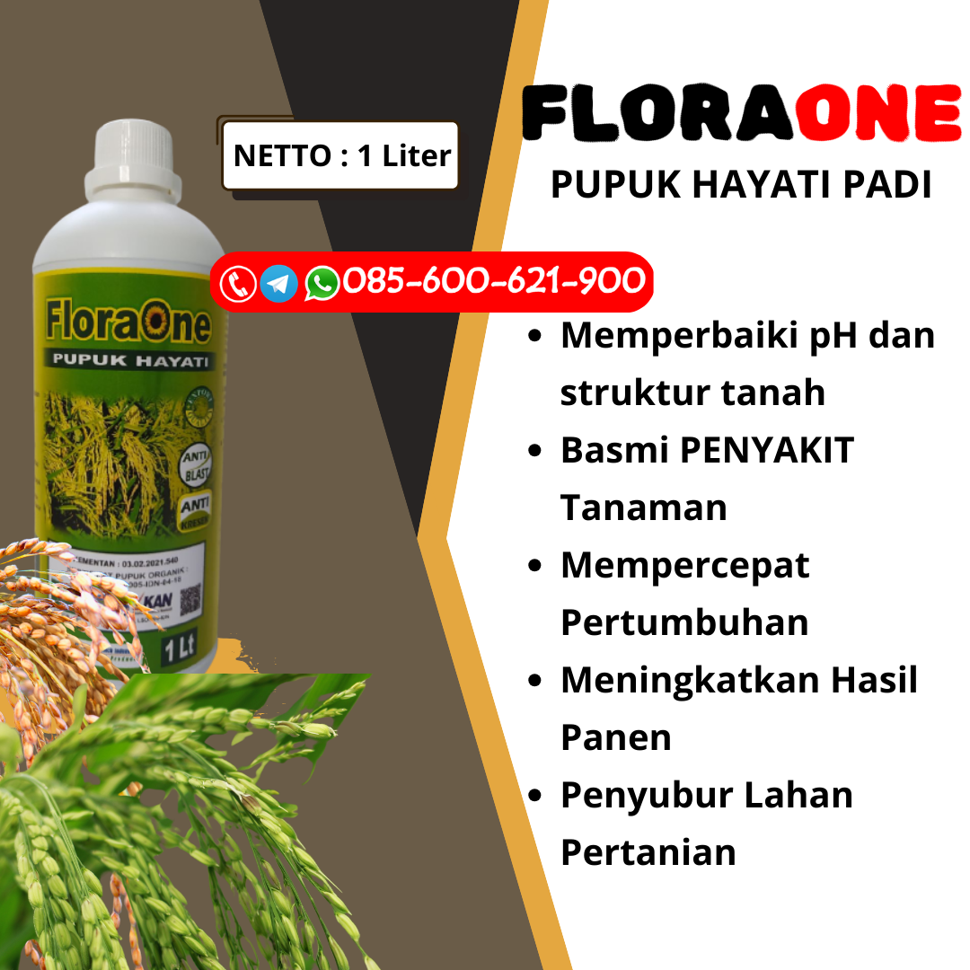 AMPUH!!!085-600-621-900, JUAL pupuk padi agar hasil melimpah Grobogan, HARGA pupuk padi agar beranak banyak Blora, AGEN pupuk anakan padi Brebes