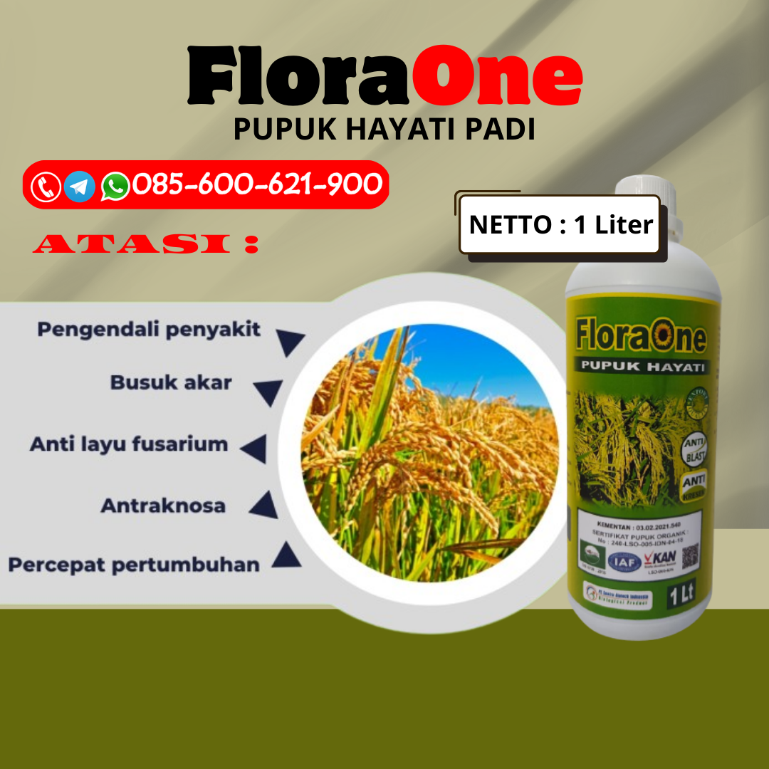 RECOMENDED!!!085-600-621-900, PABRIK pupuk padi agar anakan banyak Sragen, SUPPLIER pupuk padi apa saja Demak, DISTRIBUTOR pupuk padi awal tanam Karanganyar