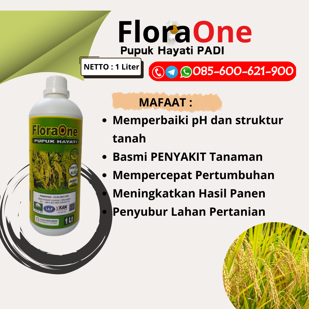 TERLARIS!!!085-600-621-900, SUPPLIER pupuk padi apa saja Demak, DISTRIBUTOR pupuk padi awal tanam Karanganyar, TOKO pupuk padi agar berbuah lebat Sukoharjo