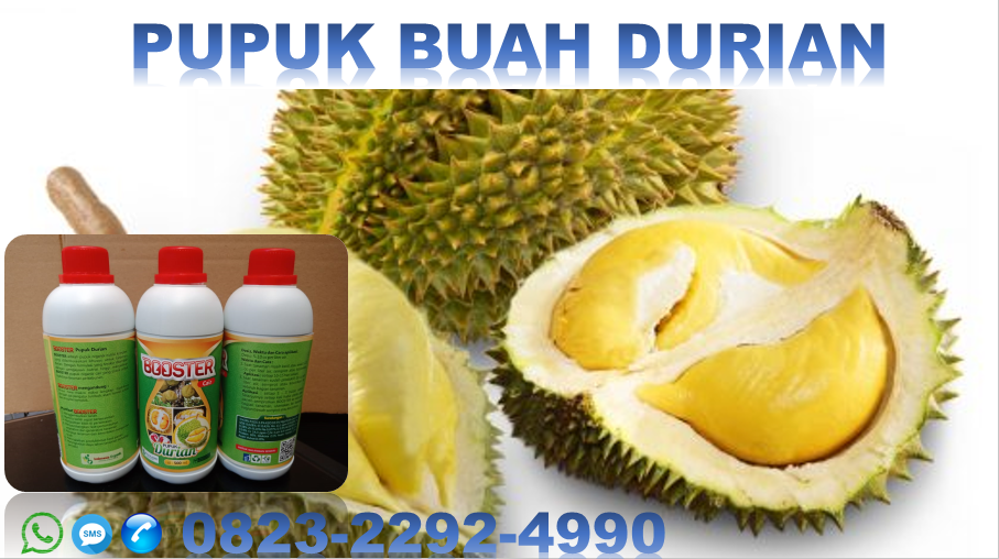 ✅DISKON_WA. 0823*2292*4990. JUAL pupuk organik durian di Pare-pare, HARGA jenis pupuk durian palopo, GROSIR jual pupuk durian Makassar