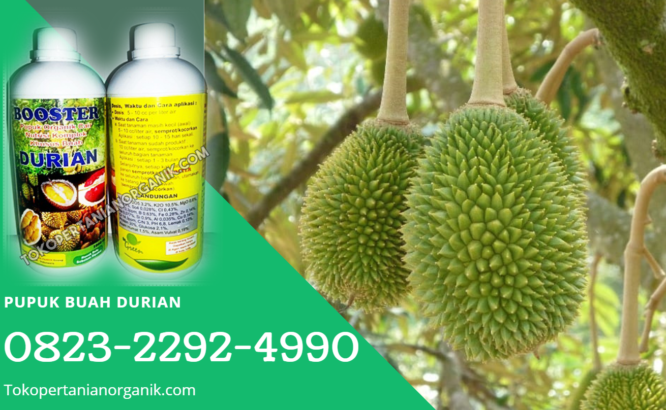✅DAPATKAN_0823*2292*4990. PRODUSEN pupuk durian super Pagar Alam, SUPPLIER pupuk durian saat berbunga Prabumulih, TOKOpupuk durian nasa Palembang