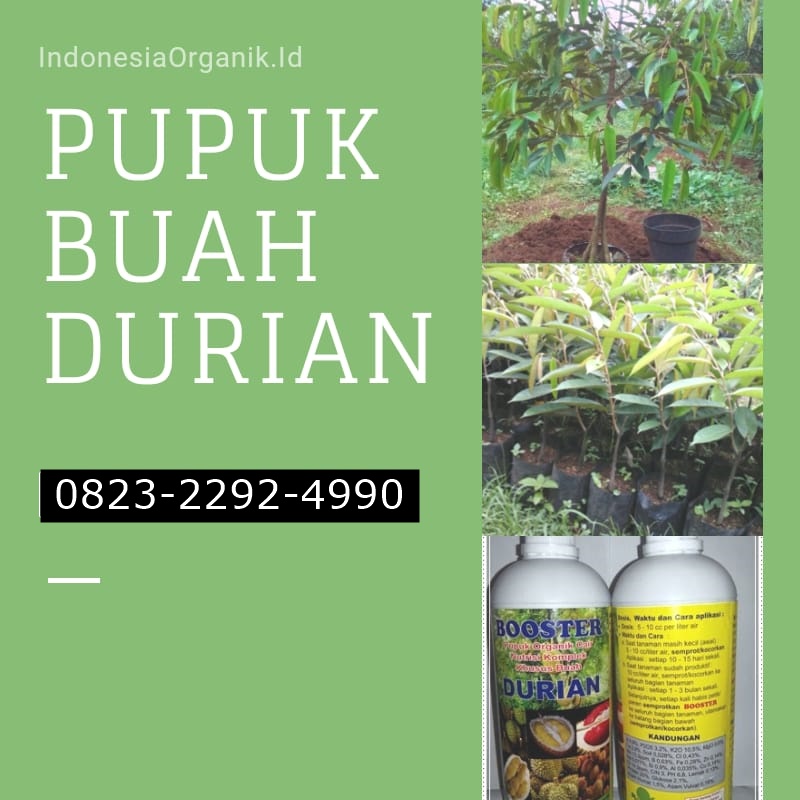 ✅HIJAU_HUB: 0823*2292*4990. GROSIR pupuk durian musang king Magelang, AGEN pupuk durian agar cepat berbuah Purwokerto, MURAH pupuk durian cepat berbuah Magelang