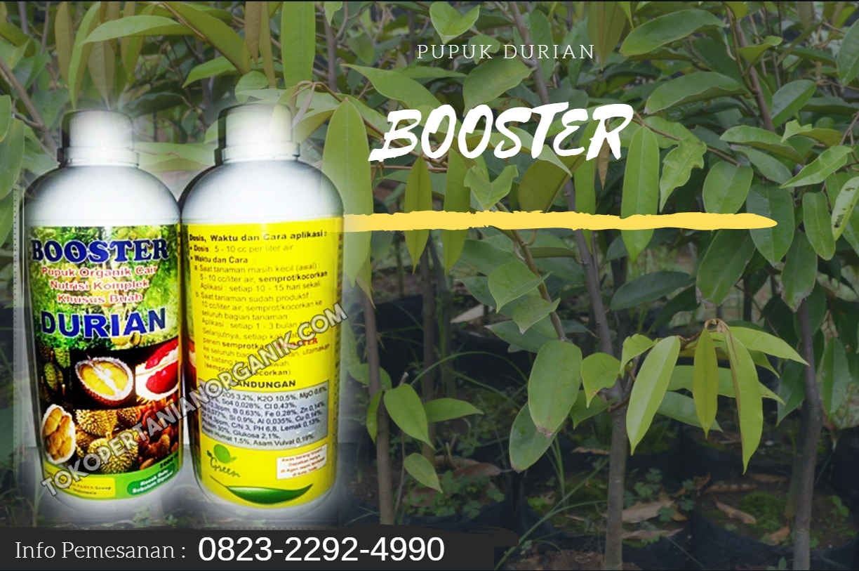 ✅HARI INI_0823*2292*4990. ✅JUAL pupuk durian booster Pontianak, HARGA pupuk buah durian singkawang, TOKO pupuk cair durian sukadana