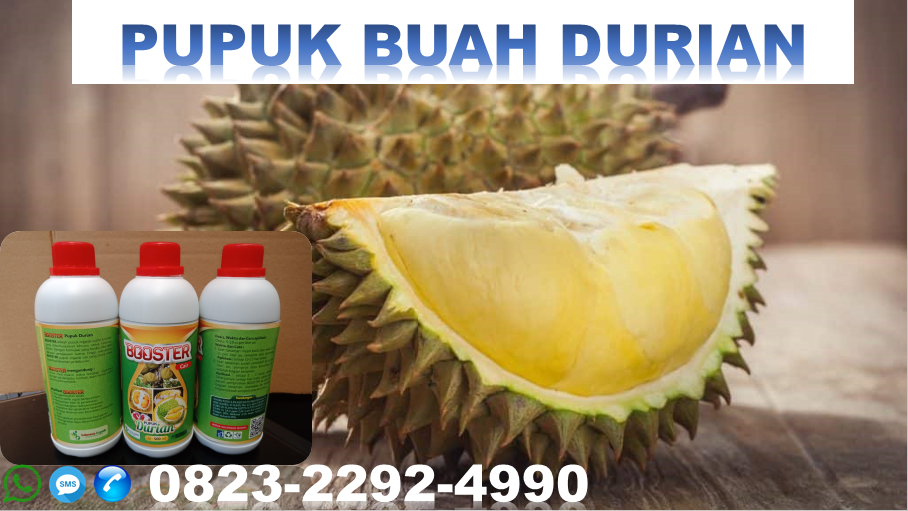 ✅DISKON_HUB: 0823*2292*4990. Harga pupuk buah durian kampung Banyuwangi, MURAH pupuk organik kilat durian Malang, jual pupuk cair kulit durian Jember