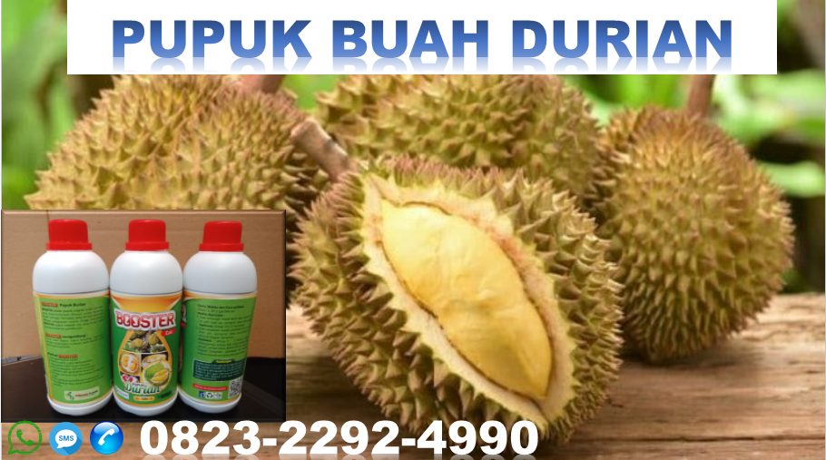 ✅SOLUSI_WA: 0823*2292*4990. PRODUSEN pupuk herbafarm durian di tomohon, SUPPLIER pupuk khusus durian bitung, TOKO harga pupuk durian Manado