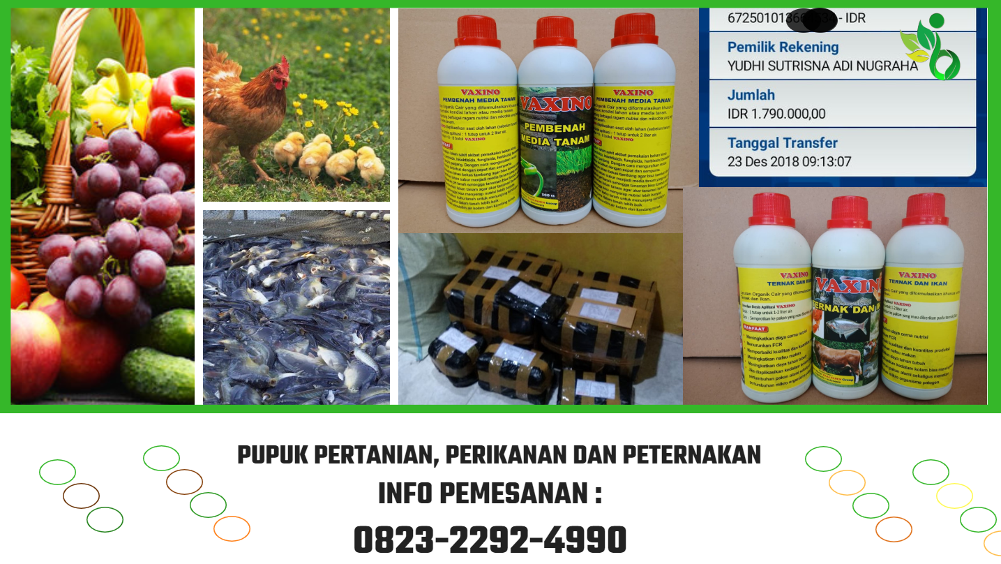 HARGA Pupuk organik cair Buah Naga LOMBOK, JUAL Pupuk cair Buah Durian BALI, DISTRIBUTOR Pupuk Buah Organik palembang, PROMO Pupuk Buah Terbaik PALOPO, AGEN Pupuk Buah Kelengkeng PAPUA, TOKO Pupuk Buah Padi sidoarjo, PRODUSEN Pupuk Buah Tin LAMPUNG, TEMPAT Pupuk organik Buah Untuk Pisang TASIKMALAYA, MURAH Pupukorganik buah Anggur SEMARANG, ASLI Pupuk cair organik Buah Sawit MAKASSAR, Harga pupuk Organik Buah Naga LOMBOK, Agen Pupuk organik cair buah naga LOMBOK