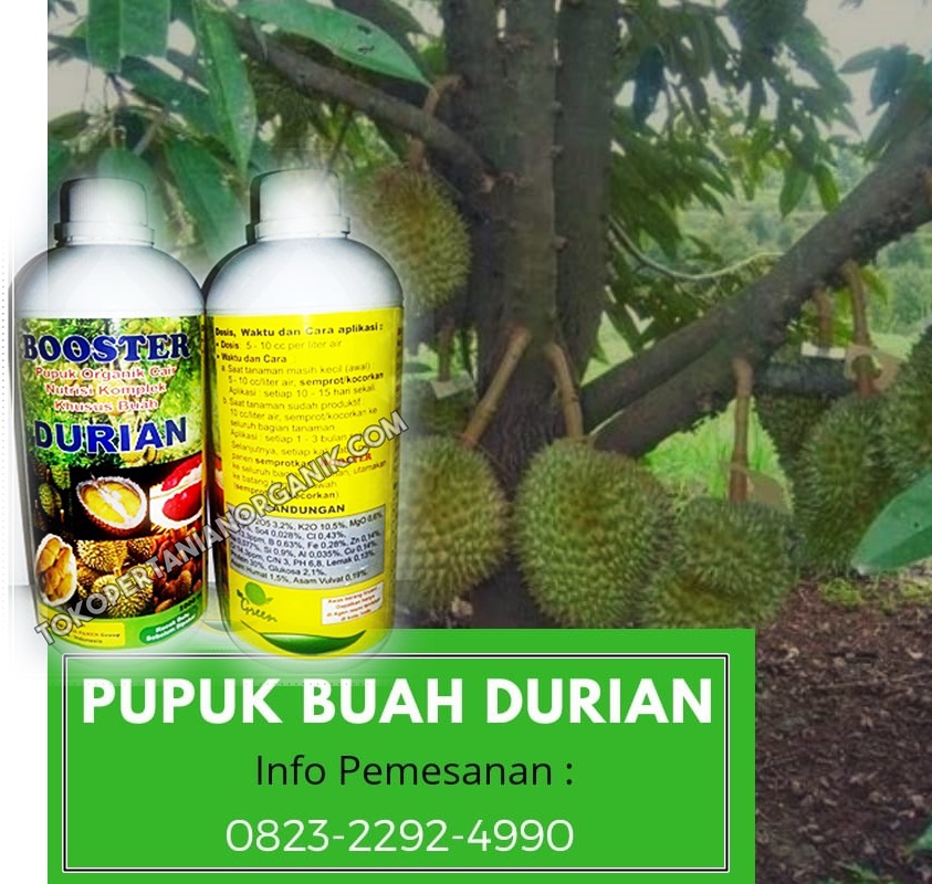✅HUB/TLP. 0823*2292*4990. JUAL pupuk durian yang baru ditanam Gorontalo, GROSIR pupuk durian berbuah di luar musimboalemo, AGENpupuk nongfeng durian Bone Bolango