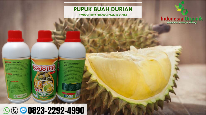 ☑️AMANAH..//o823*2292*499o. JUAL pupuk durian yang baru ditanam DI Bandung Barat , GROSIR pupuk durian berbuah di luar musim Bekasi, AGEN pupuk nongfeng durian Bogor