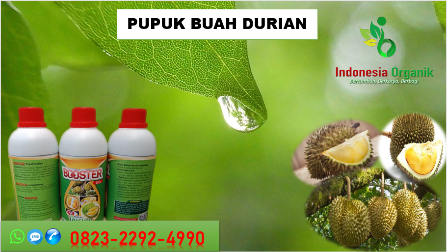 ☑️PENAWARAN. TLP…// o823*2292*499o. AGEN pupuk durian agar cepat berbuah Surakarta, MURAH pupuk durian cepat berbuah Tegal, DISTRIBUTOR pupuk durian agar berbuah lebat Salatiga