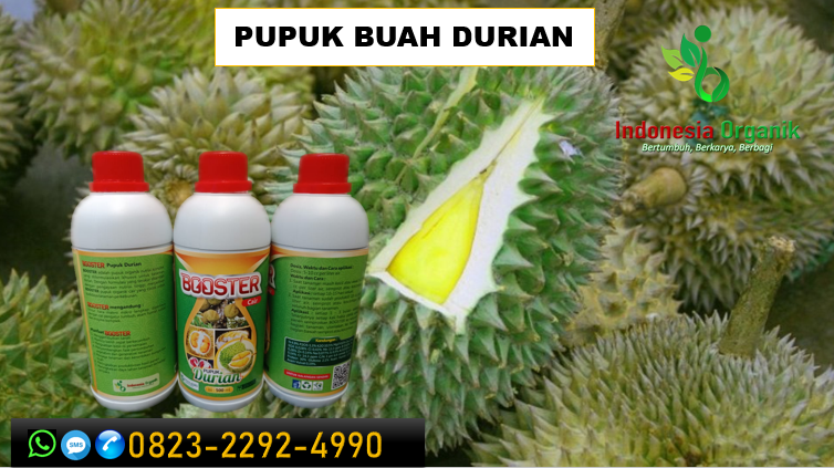 ✅SOLUSI..//TLP: o823*2292*499o. TOKO pupuk perangsang buah durian diluar musim di Sukabumi, TEMPAT pupuk untuk daun durian Tasikmalaya, JUAL pupuk durian yang baru ditanam Bandung Barat 