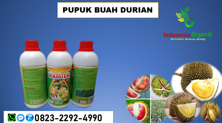 ☑️SPECIAL..//HUB: o823*2292*499o. MURAH garam pupuk durian Ciamis, DISTRIBUTOR pupuk durian hantu Cianjur, PRODUSEN pupuk herbafarm durian Cirebon