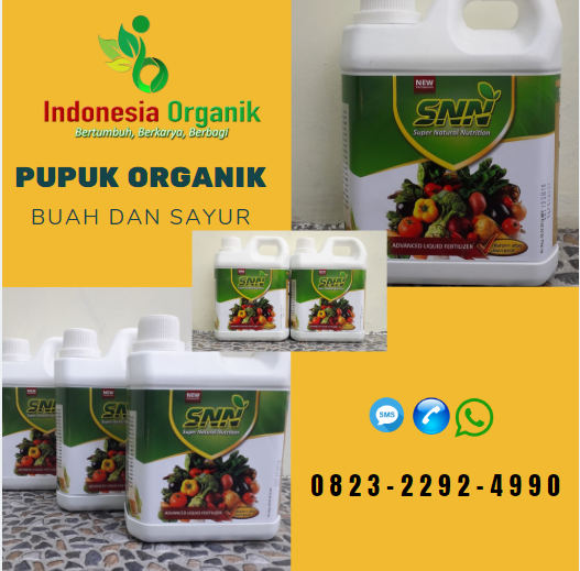 ☑️CEPAT_0823*2292*4990. ☑️JUAL pupuk sayur kangkung Bogor, TOKO pupuk sayuran biar subur di Cibinong, Pupuk Organik Di Bandung