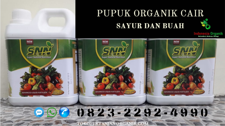 ☑️TERBAIK:  o823*2292*499o. JUAL pupuk padi di Aceh, AGEN PUPUK DI ACEH, HARGA pupuk organik di Aceh