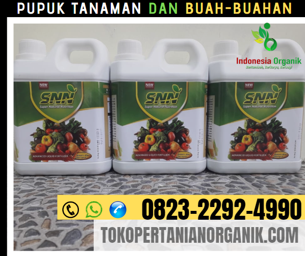 ☑️HARI INI_o823*2292*499o. TOKO pupuk padi organik Kota Jantho, HARGA pupuk padi alami Aceh Jaya, JUAL pupuk padi agar beranak banyak Calang